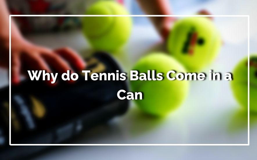 Why do Tennis Balls Come in a Can
