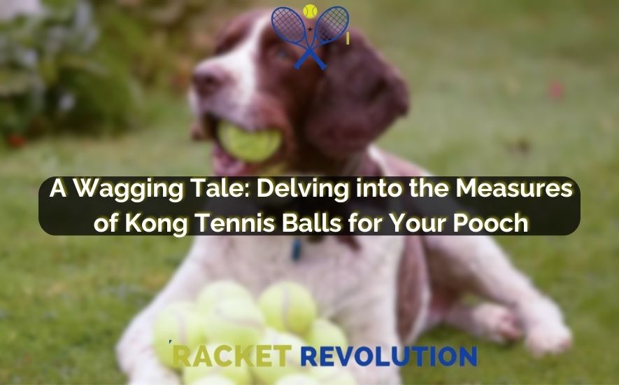 Are Kong Tennis Balls Safe for Dogs 3