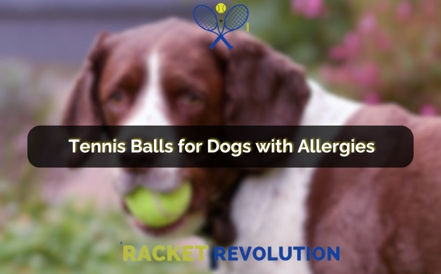 Are Kong Tennis Balls Safe for Dogs 4