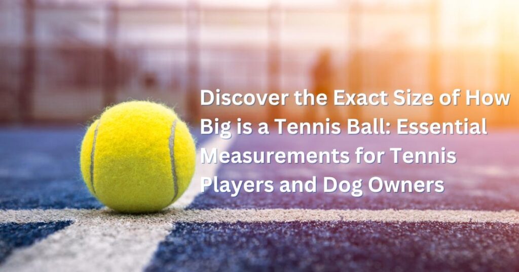Discover the Exact Size of How Big is a Tennis Ball Essential Measurements for Tennis Players and Dog Owners
