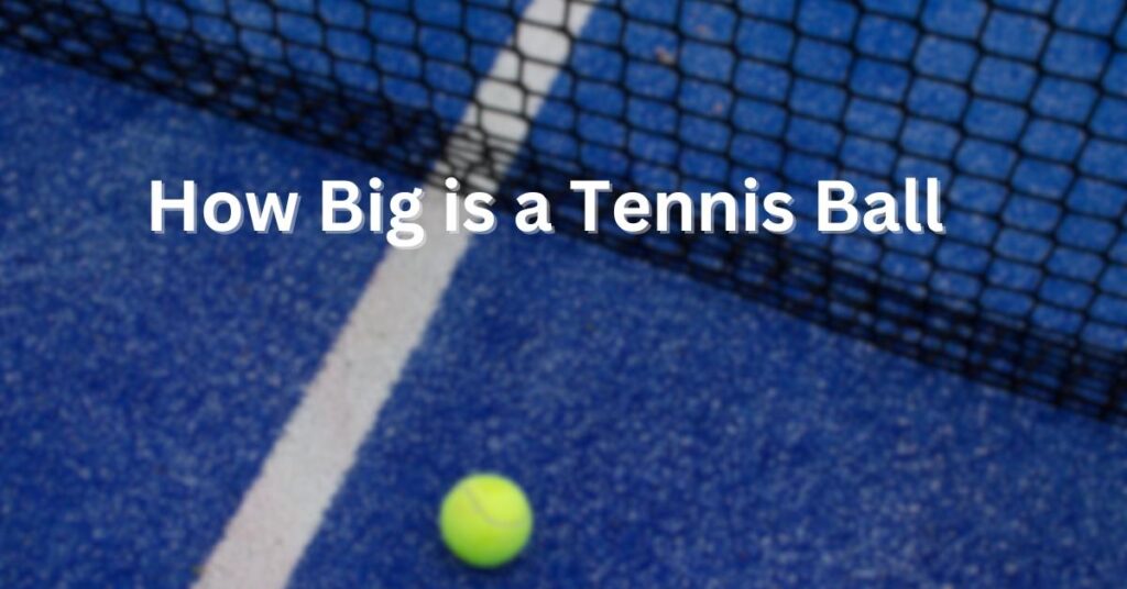 How Big is a Tennis Ball 1024x536 1